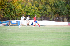 Enlarge photo 447