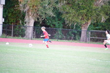 Enlarge photo 449