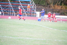Enlarge photo 455