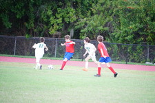 Enlarge photo 458