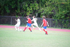 Enlarge photo 459