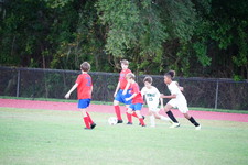 Enlarge photo 461