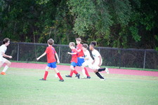 Enlarge photo 462