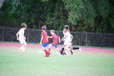 Enlarge photo 463