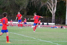 Enlarge photo 478