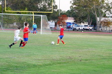 Enlarge photo 495