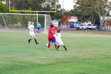Enlarge photo 498