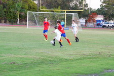 Enlarge photo 502