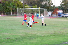 Enlarge photo 503
