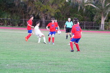 Enlarge photo 508