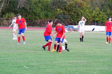 Enlarge photo 513