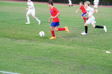 Enlarge photo 522