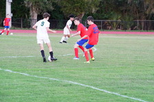 Enlarge photo 526