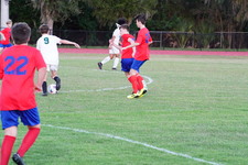 Enlarge photo 528