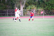 Enlarge photo 531