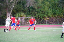 Enlarge photo 532