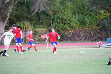 Enlarge photo 533