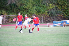 Enlarge photo 534