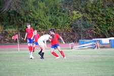 Enlarge photo 535