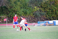 Enlarge photo 538