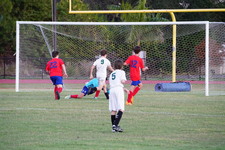 Enlarge photo 539