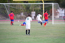 Enlarge photo 542