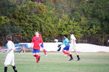 Enlarge photo 543