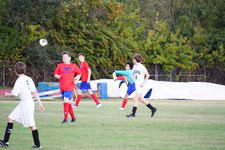 Enlarge photo 546