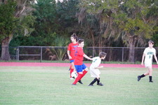 Enlarge photo 556