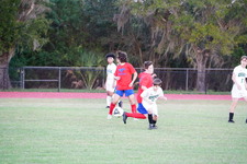 Enlarge photo 558