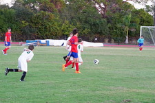 Enlarge photo 559