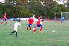 Enlarge photo 560