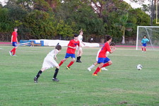 Enlarge photo 561