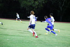 Enlarge photo 45