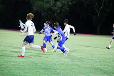 Enlarge photo 46