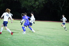 Enlarge photo 49