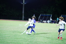 Enlarge photo 51