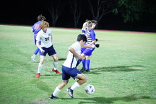 Enlarge photo 63