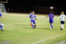 Enlarge photo 85