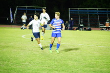 Enlarge photo 115