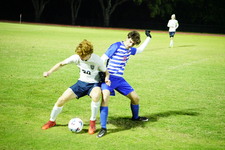 Enlarge photo 120