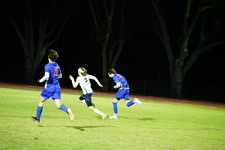 Enlarge photo 149
