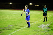 Enlarge photo 181