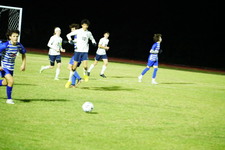 Enlarge photo 202