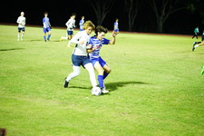 Enlarge photo 205