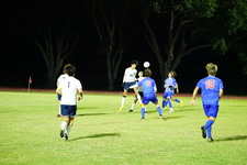 Enlarge photo 213