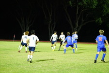 Enlarge photo 214