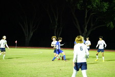Enlarge photo 227