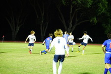 Enlarge photo 229