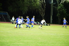 Enlarge photo 230